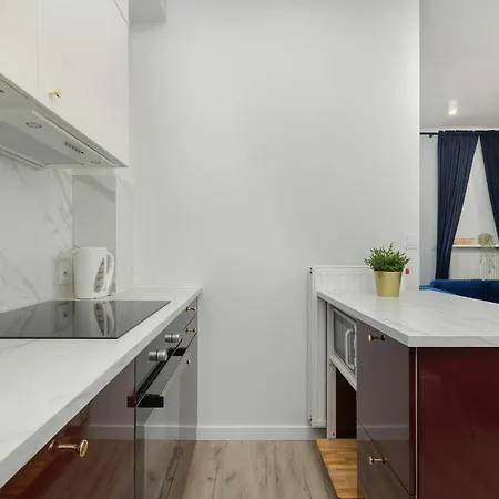 Spacious Near Cardiology Clinic By Renters 크라쿠프